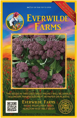 Qualtivate PUA-8A Purple Sprouting Broccoli Seeds Seed(300 per packet)