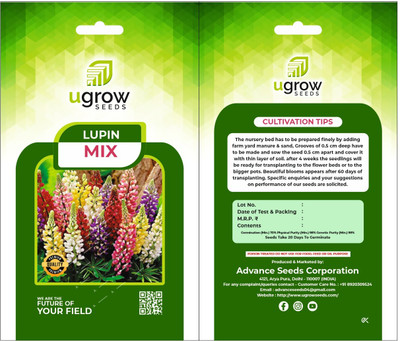 agri max gardens AGRIMAX GARDENS LUPIN RAINBOW MIX LUPIN SEEDS LUPIN FLOWER PLANTS Seed(40 per packet)