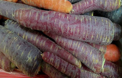 Mozette Organic black carrot Seed(50 per packet)