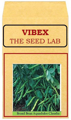 CYBEXIS Broad Bean Hybrid Seeds800 Seeds Seed(800 per packet)
