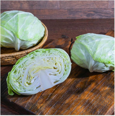 WILLVINE SCI -IV Late Flat Dutch Cabbage Seeds [25g] Seed(7500 per packet)