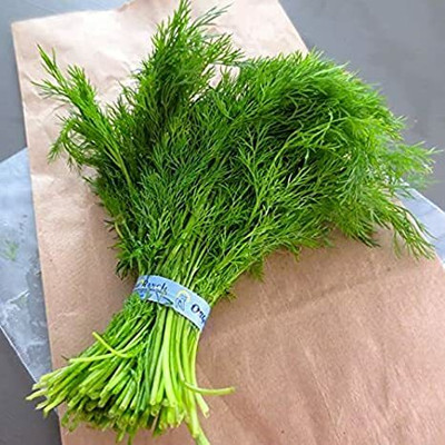 XOLDA Organic soya dill Seed(37 per packet)