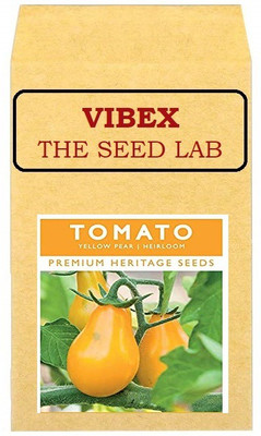 CYBEXIS Tomato Yellow Pear Hybrid Seeds500 Seeds Seed(500 per packet)