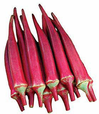 KANAYA Lal Bhindi Red Okra Lady Finger Vegetable Seed(110 per packet)