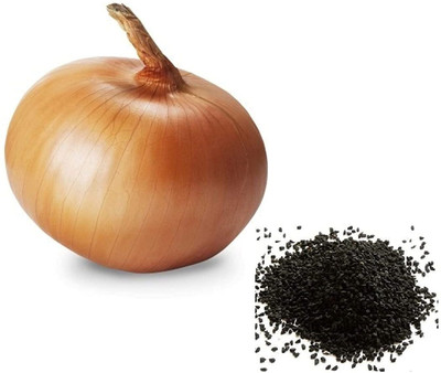 WILLVINE AGRI -XII Orange Onion Big Traditional Seeds [50g] Seed(30000 per packet)