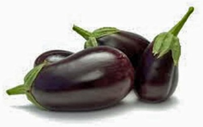 KNESSiN Brinjal Seed, Black Beauty-[10gm] Seed(2000 per packet)