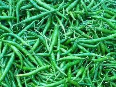 XOLDA Organic green chilli Seed(15 per packet)
