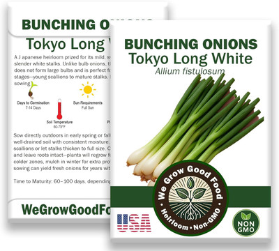 Biosnyg Organic Tokyo Long Bunching Onion Seeds for Home Gardening-(3000 Seeds) Seed(3000 per packet)