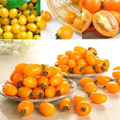 CYBEXIS Yellow Tomato Seeds Sweet Easy2000 Seeds Seed(2000 per packet)