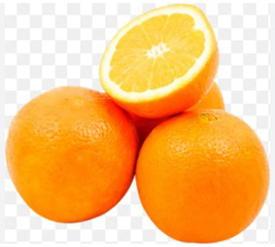 Aywal Darjeeling variety Mosambi Citrus Limetta Seed(60 per packet)