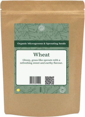KNESSiN Fast Growing Pets Wheat Grass for Digestion and Hairballs Seeds-(5000 Seeds) Seed(5000 per packet)