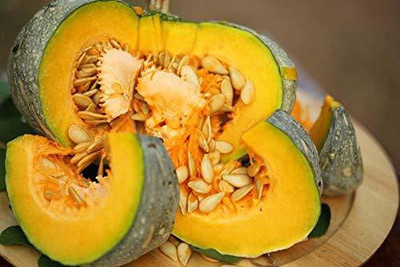 CYBEXIS TLX-92 - Pumpkin Vegetable - (100 Seeds) Seed(100 per packet)
