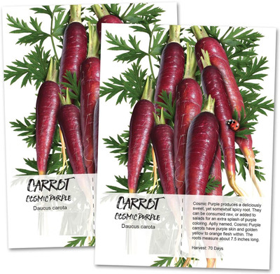 WILLVINE Carrot Seed(200 per packet)