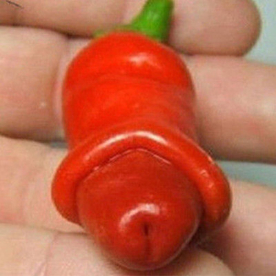 KNESSiN Special Chilli Seed(200 per packet)