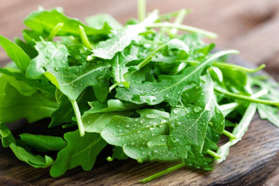 WILLVINE Wild Arugula Seeds-[2500 Seeds] Seed(2500 per packet)
