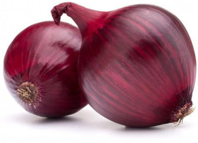 Quentova Brunswick wine red Onion-KTK-2X Seed(200 per packet)