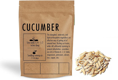 Qualtivate HUA-7A F1 Hybrid Cucumber SEEDS Seed(300 per packet)