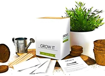 CRGO SEEDS KIT Seed(29 per packet)