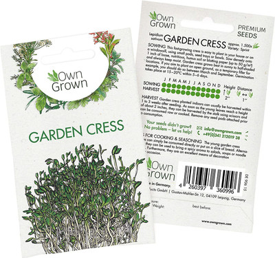 CYBEXIS Garden Cress Seeds (Lepidium sativum)2800 Seeds Seed(2800 per packet)