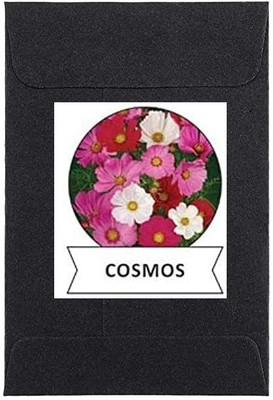 CYBEXIS Cosmos S Flower Seeds100 Seeds Seed(100 per packet)