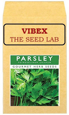 CYBEXIS Heirloom Parsley Hybrid Seeds2800 Seeds Seed(2800 per packet)