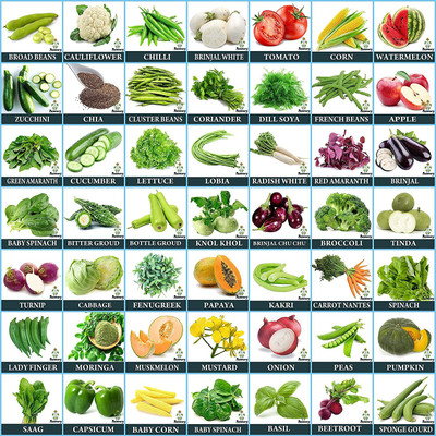 CYBEXIS 50 Varieties Vegetable Seeds Combo Seed(10 g)
