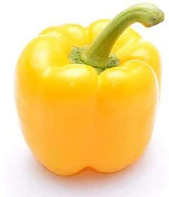 CYBEXIS NBIR-59 - YELLOW CAPSICUM VEGETABLE - (150 Seeds) Seed(150 per packet)