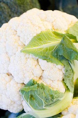COW GRASS SEEDS COW FARMING white cauliflower,gobhee seeds Seed(10 per packet)