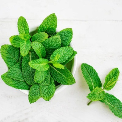 FOURGANIC Organic Peppermint / Mentha piperita / Organic mint herb Seed(1000 per packet)