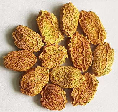 CRGO KARELA , BITTERGOURD Seed(5 per packet)