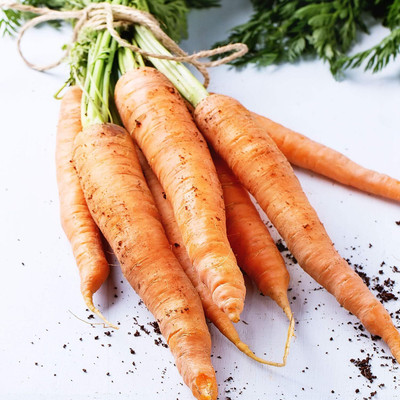 Qualtivate RES-2A Amsterdam Carrot Seeds Seed(300 per packet)