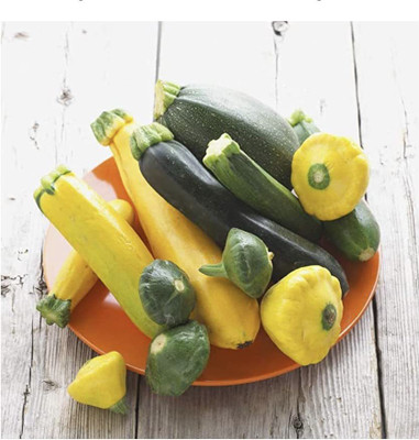 VibeX ® LXI-493 Zucchini and Squash Mix Seeds Seed(100 per packet)