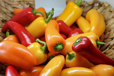 KNESSiN Mixed Mini Sweet Pepper Seed(1250 per packet)