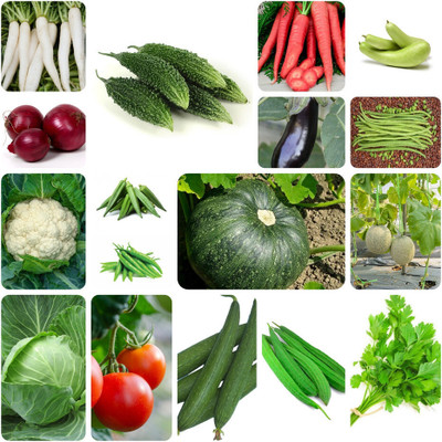 DECORPLIX Veggie seeds combo Seed(70 per packet)