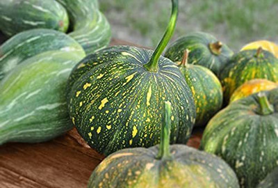 Aywal Pumpkin F1 Hybrid Bheema Seed(32 per packet)