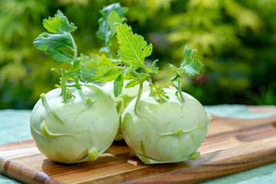 WILLVINE AMR -V Kohlrabi Giant Cabbage Seeds [50g] Seed(15000 per packet)
