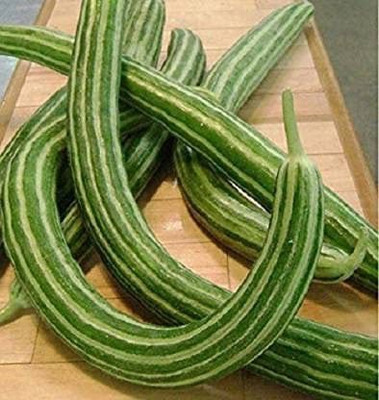 CYBEXIS XLR-23 - Hybrid Cucumber - Long Melon - (150 Seeds) Seed(150 per packet)