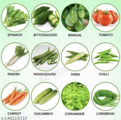 Plantzone all mixed vegetable seeds Seed(250 per packet)