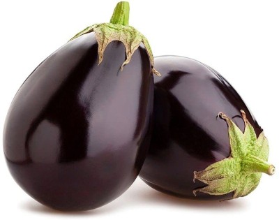 Aywal Brinjal Black Round Hybrid Vegetable Seed(100 per packet)