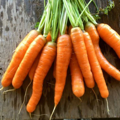 Aywal Gajar Hybrid Vegetable Seed(400 per packet)
