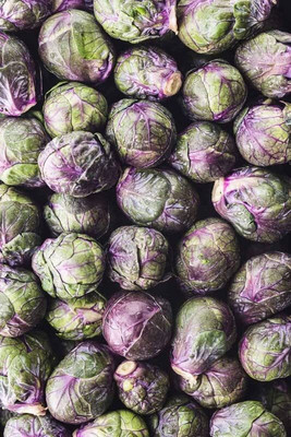WILLVINE AMR -V F1 Hybrid Brussel Sprouts [2.5g] Seed(750 per packet)