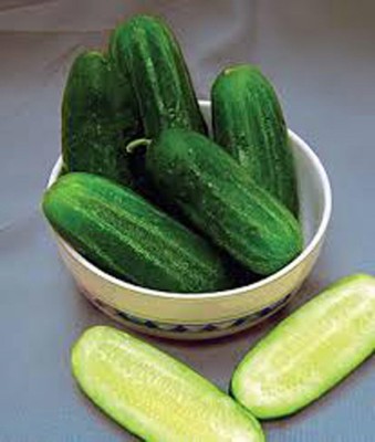 Qualtivate HUA-1A National Pickling Cucumber Seed Seed(300 per packet)