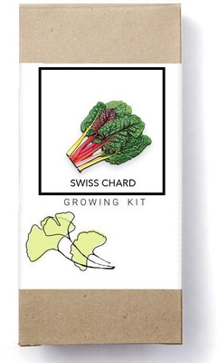 Biosnyg Swiss Chard[500 Seeds] Seed(500 per packet)