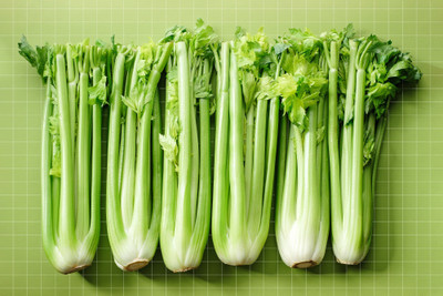 ENTENT Organic Celery-Tall Utah Seed(150 per packet)