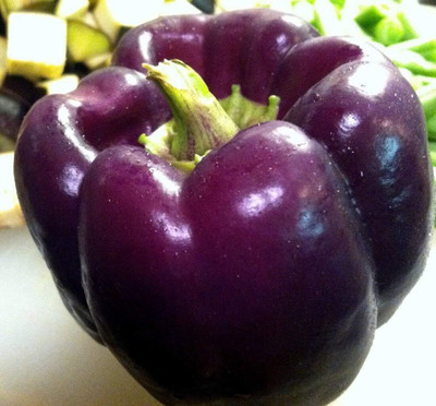Qualtivate ICRA-8A Purple Capsicum/Pepper Seeds Seed(100 per packet)