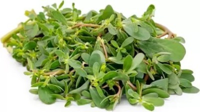 MAA Purslane, Kulfa Seed(220 per packet)