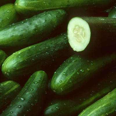 WHYGI Hybrid Cucumber Garden Seeds-CuC_1402 Seed(300 per packet)