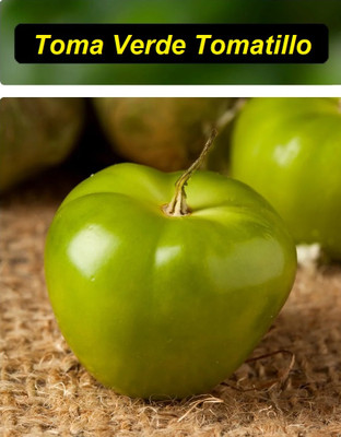 Quentova Toma Verde Tomatillo 10gm Seeds Seed(4000 per packet)