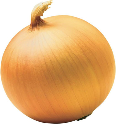 Qualtivate HYB-9A Riverside Sweet Yellow Spanish Onion Seed(500 per packet)