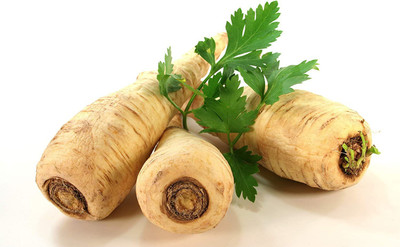 CYBEXIS NBIR-42 - Parsley Sugar Root - (750 Seeds) Seed(750 per packet)